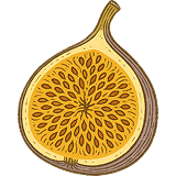 FIG
