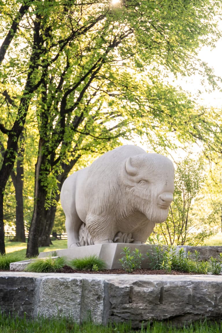 Thunder Buffalo Statue Up Close in Buffalo Trace Distillery Grou
