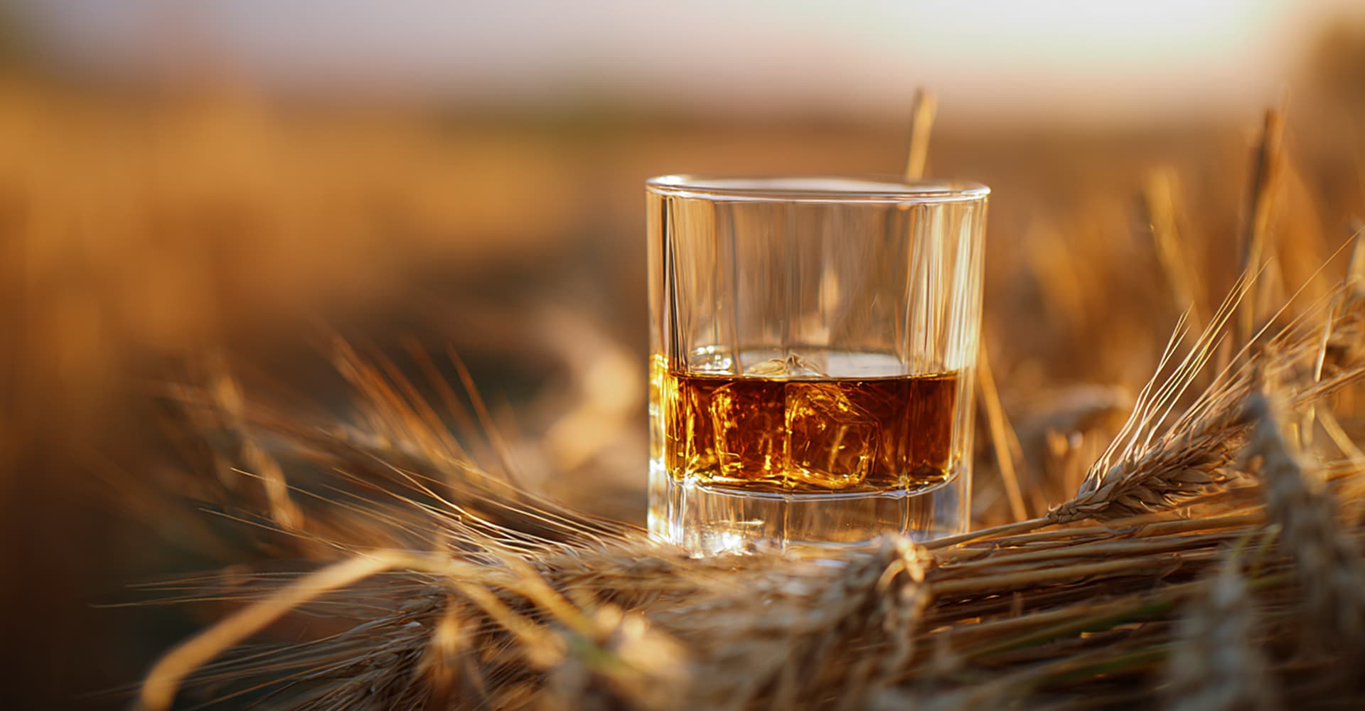 kosher_brand_lifestyle