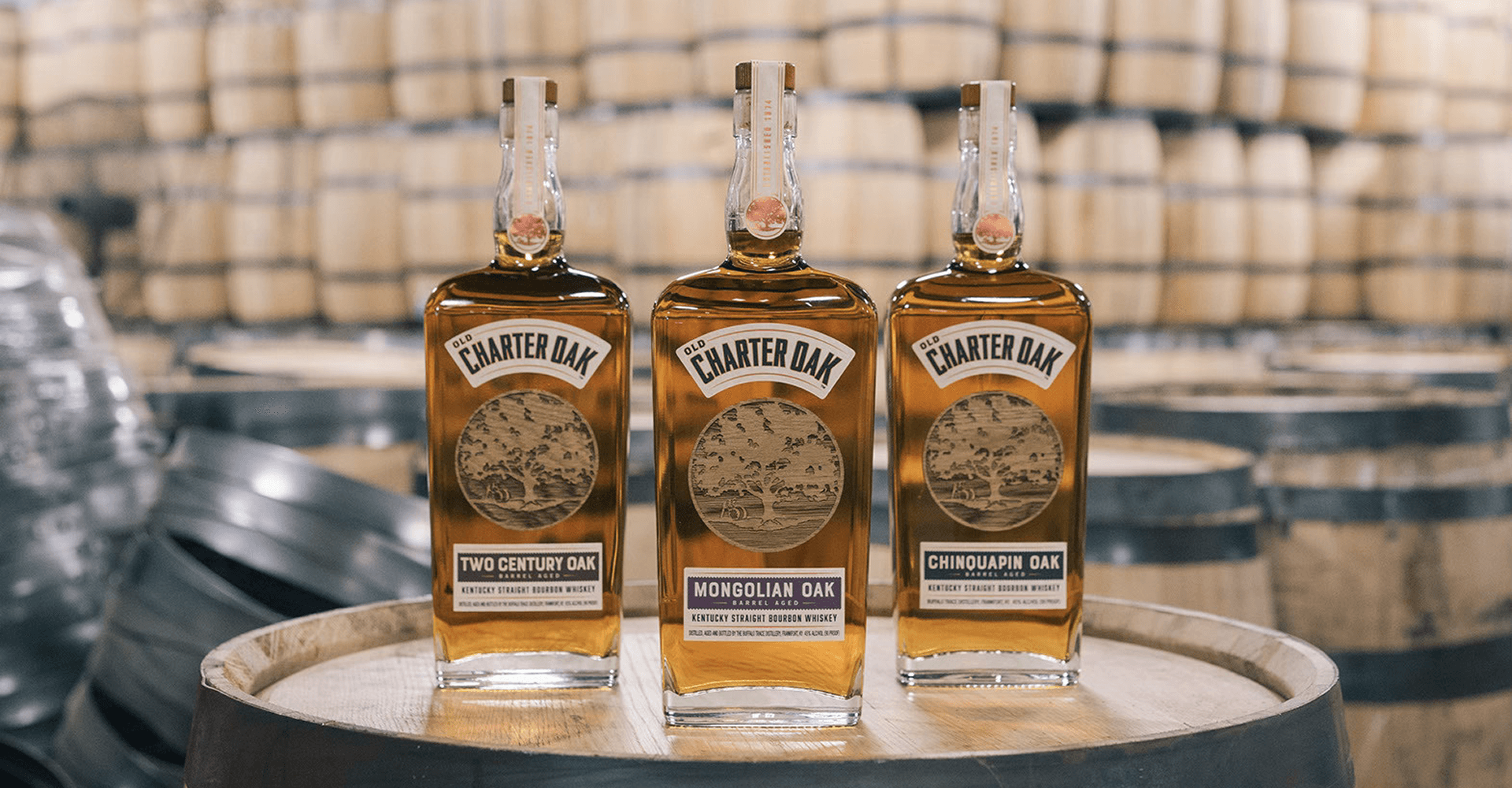 OLD_CHARTER_BACKGROUND_IMAGE_JOURNEY