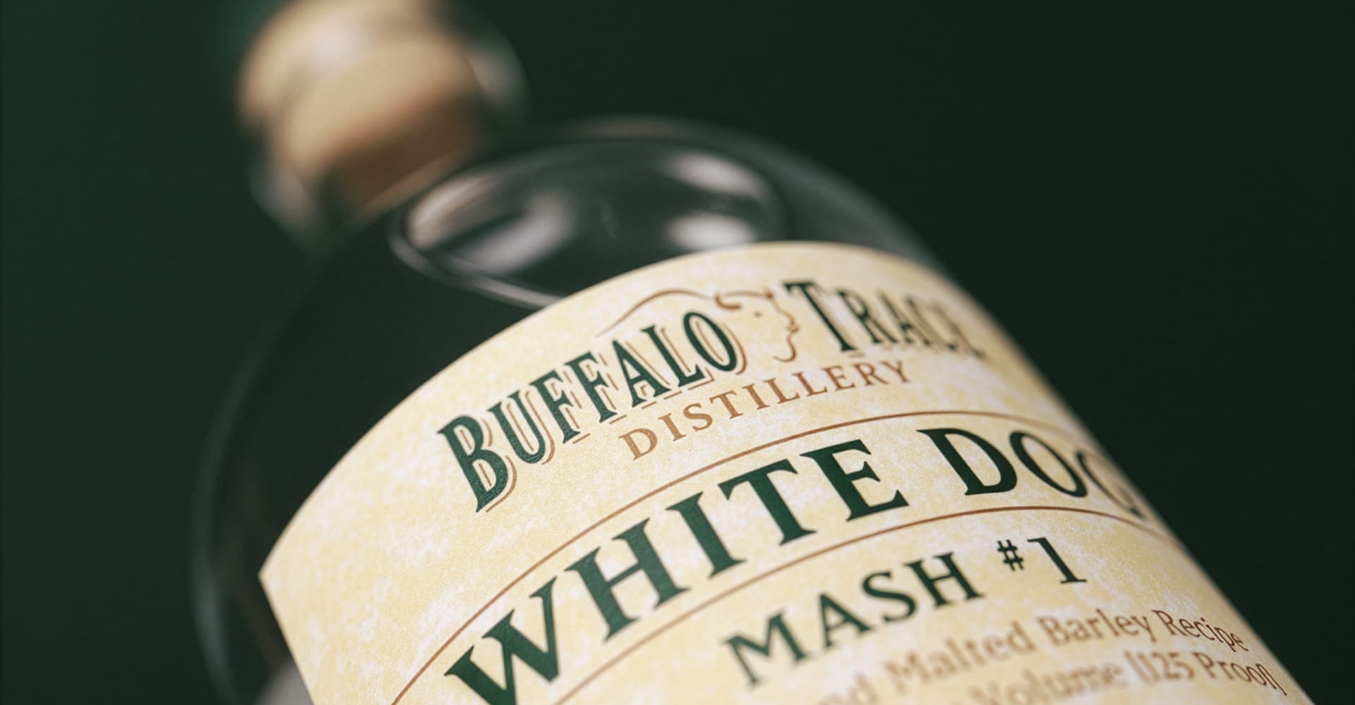 white_dog_mash1_liestyle