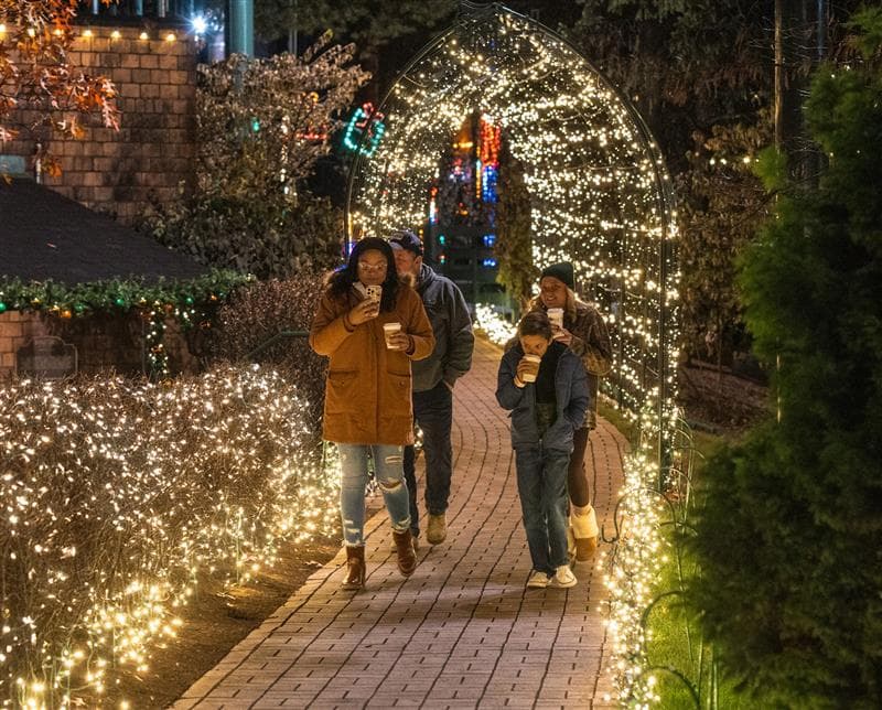 holidays-at-the-trace