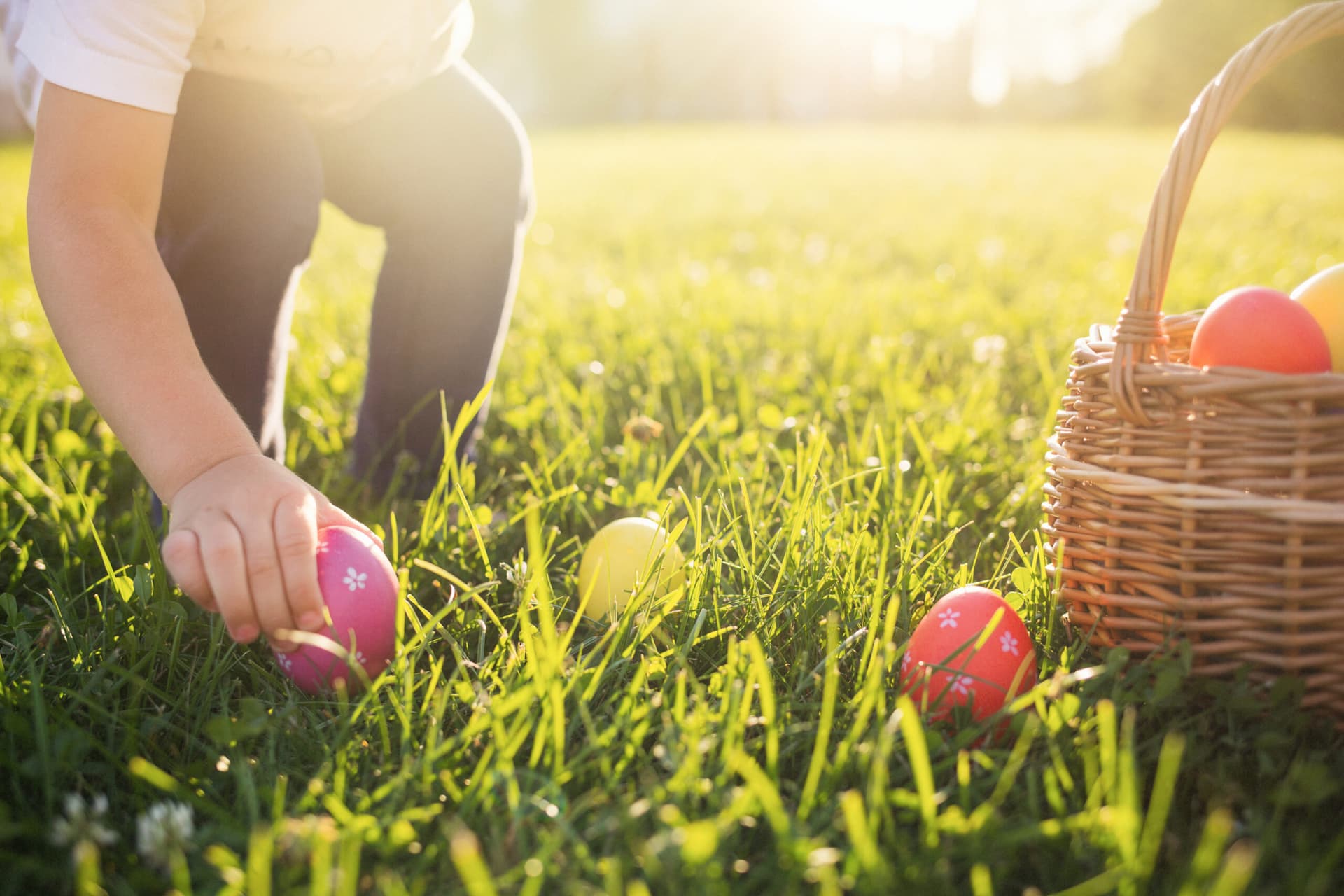 little-girl-hunts-easter-egg-kids-searching-eggs-in-the-garden-child-putting-colorful-eggs-in-a-basket