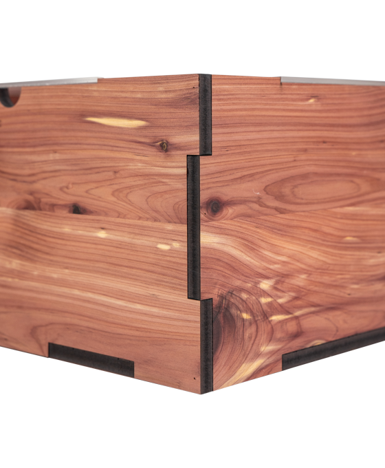 GIFTBOX_04_Main.png