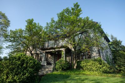 Download trees and sky angled with brick building