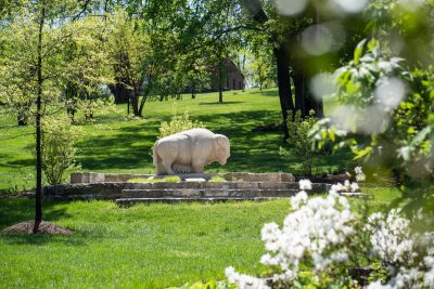 Download White buffalo statue
