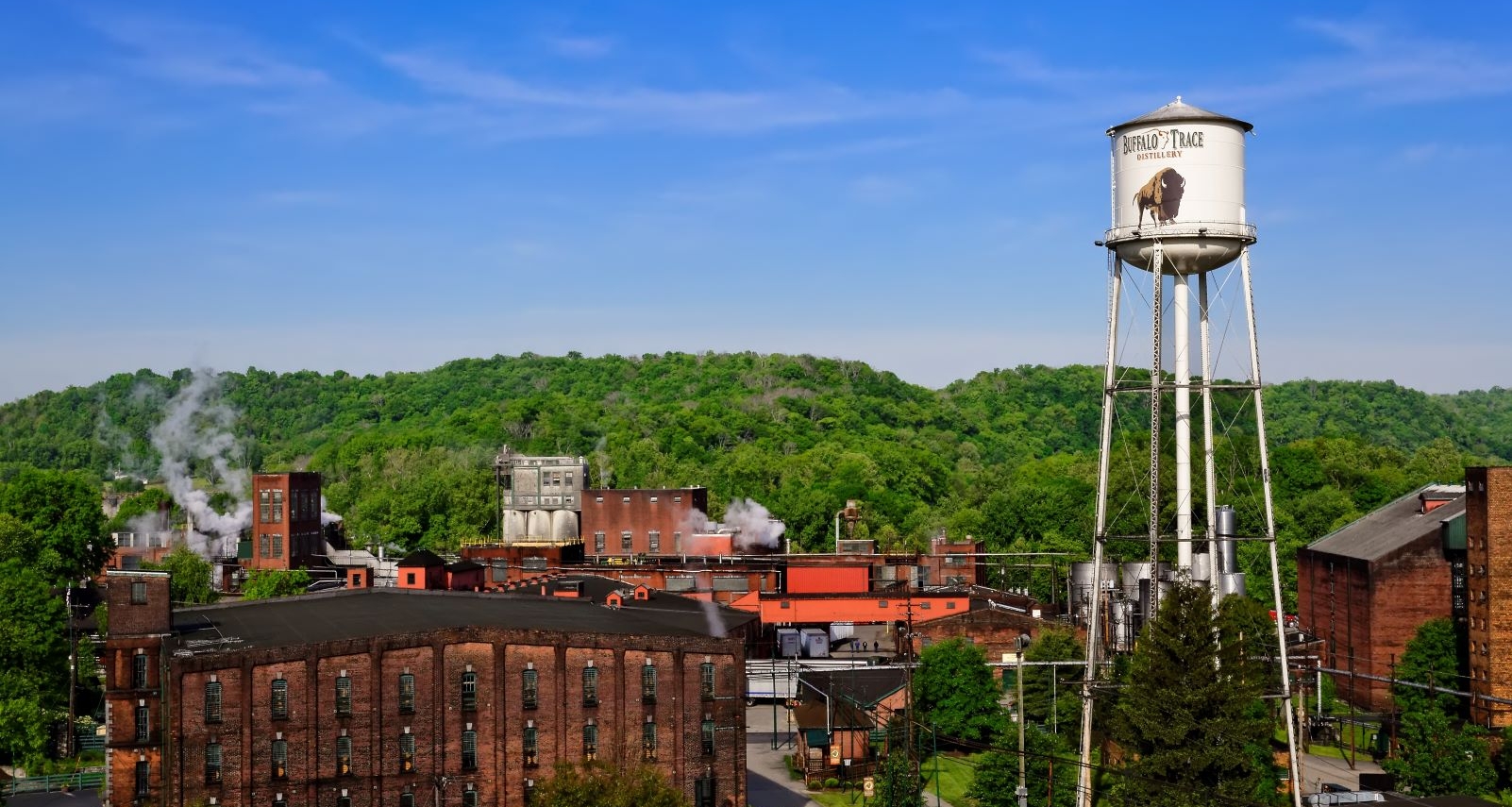 buffalo trace dp world tour