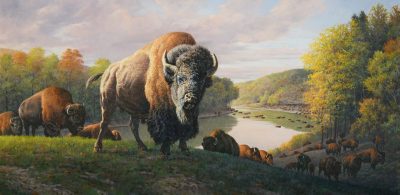 Download A picture of the buffalo mantel painting in Stony Point at Buffalo Trace Distillery intended for media kit usage.