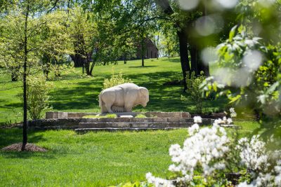 Download A picture of the Thunder buffalo statue in the Buffalo Trace Distillery grounds intended for media kit usage.