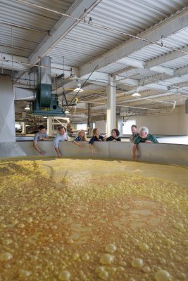 Download A picture of a Buffalo Trace Distillery tour in the mash intended for media kit usage.